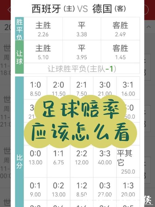 掌握2026世界杯投注赔率计算方法